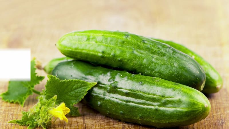 تصویر 3 از خیار قلمی ریز مناسب تهیه ترشی و مصرف روزانه